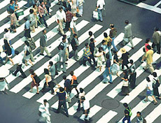 Optimize your foreign business engagement and maximize your success Cultural Savvy